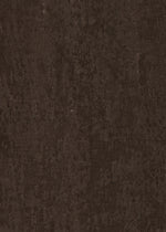 brow-bitch-espresso-sourcils