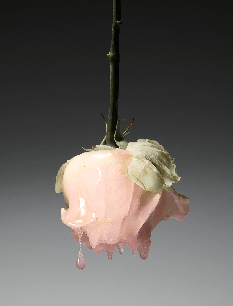 PINK PUDDING