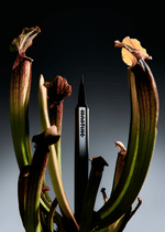 Eyeliner Clean Venom - Martine Cosmetics