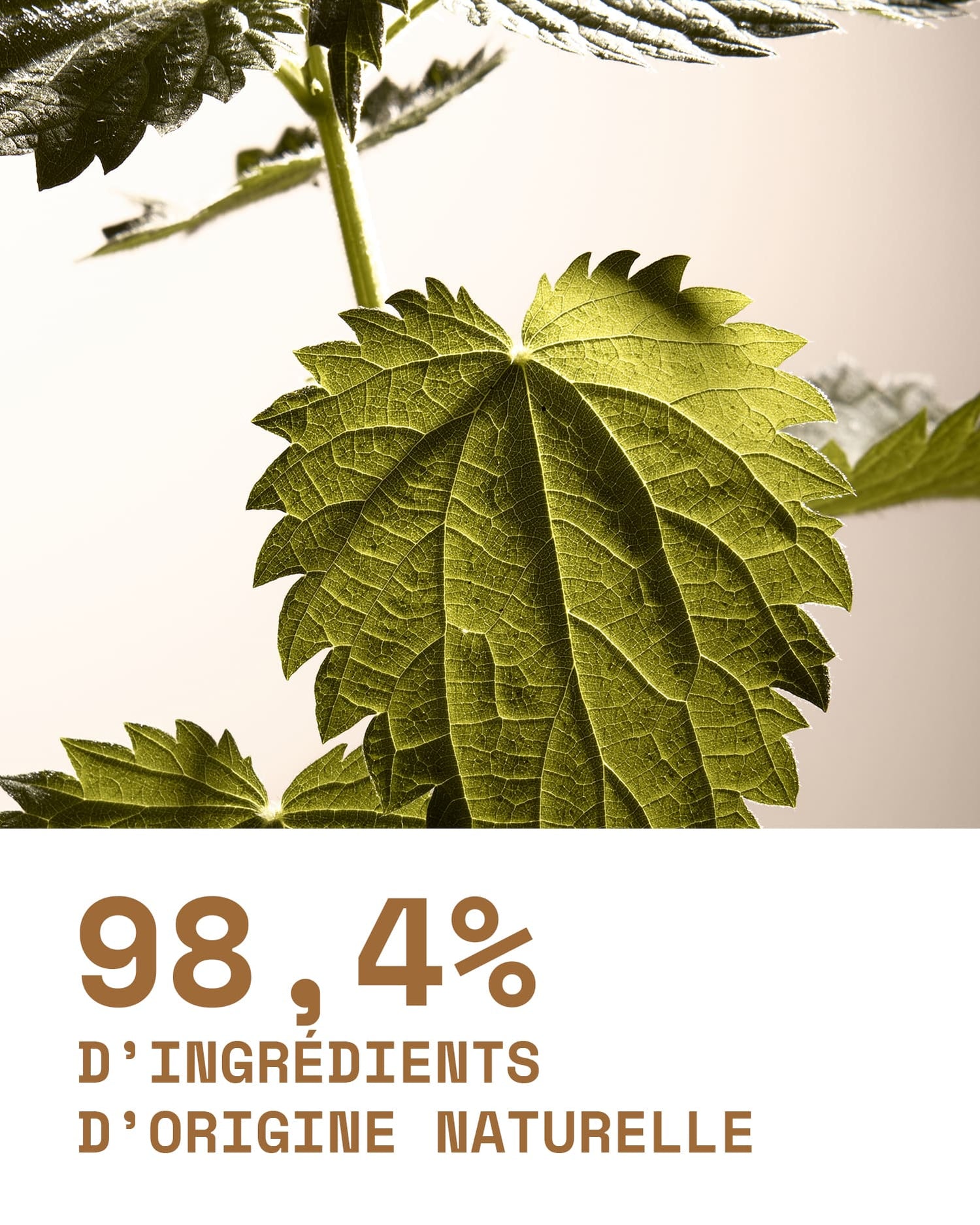 Le Tonic ingrédients - Martine Cosmetics