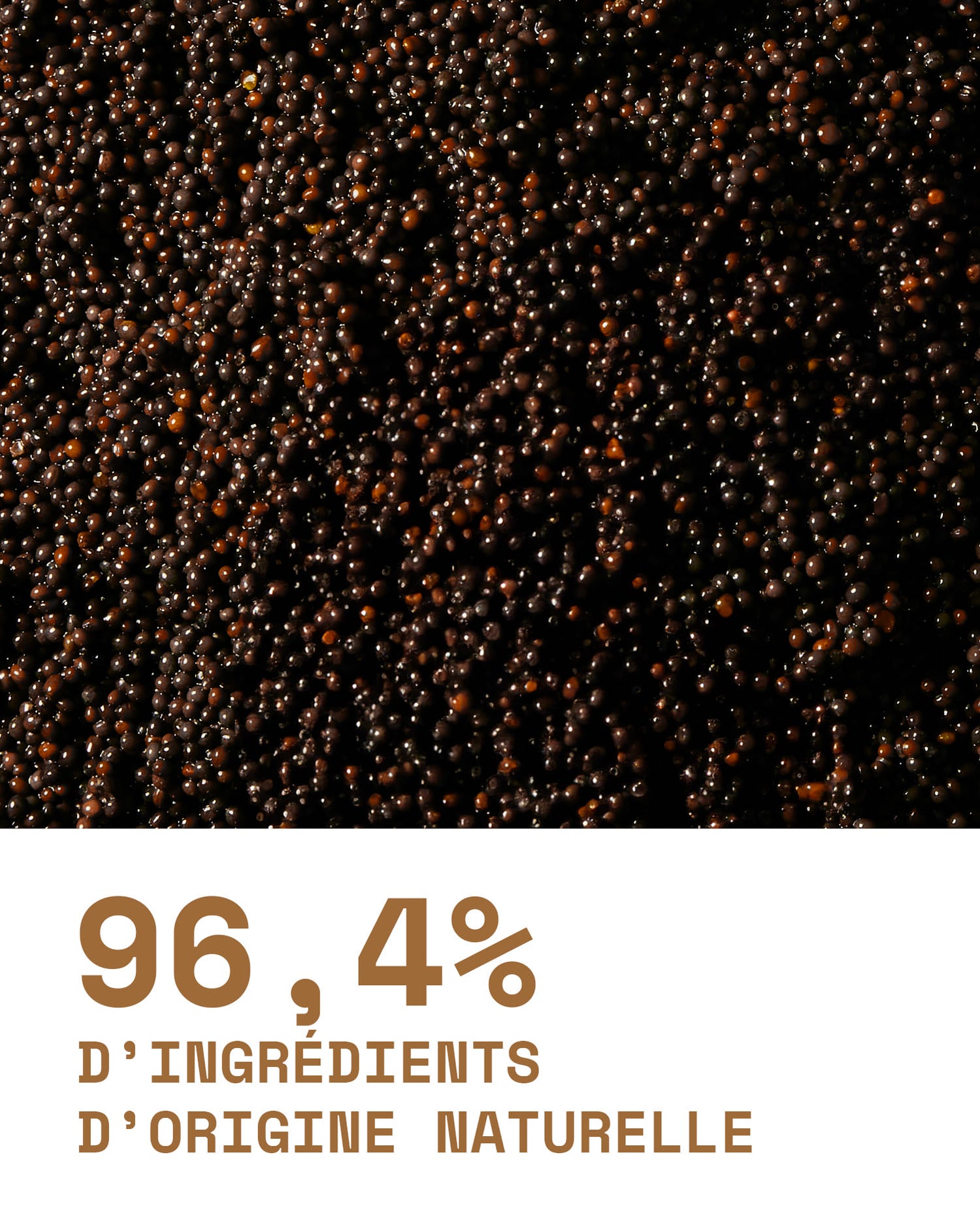 Le Shampoing ingrédients - Martine Cosmetics