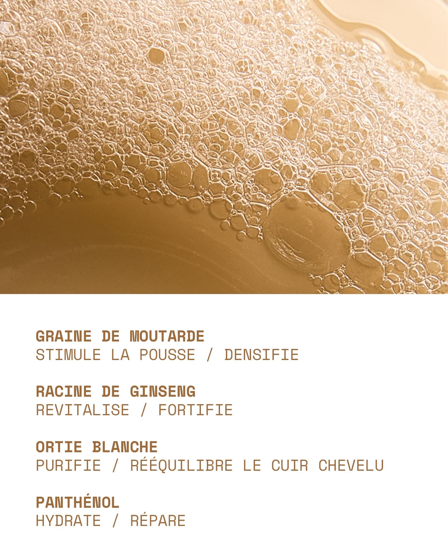 Le Shampoing ingrédients - Martine Cosmetics